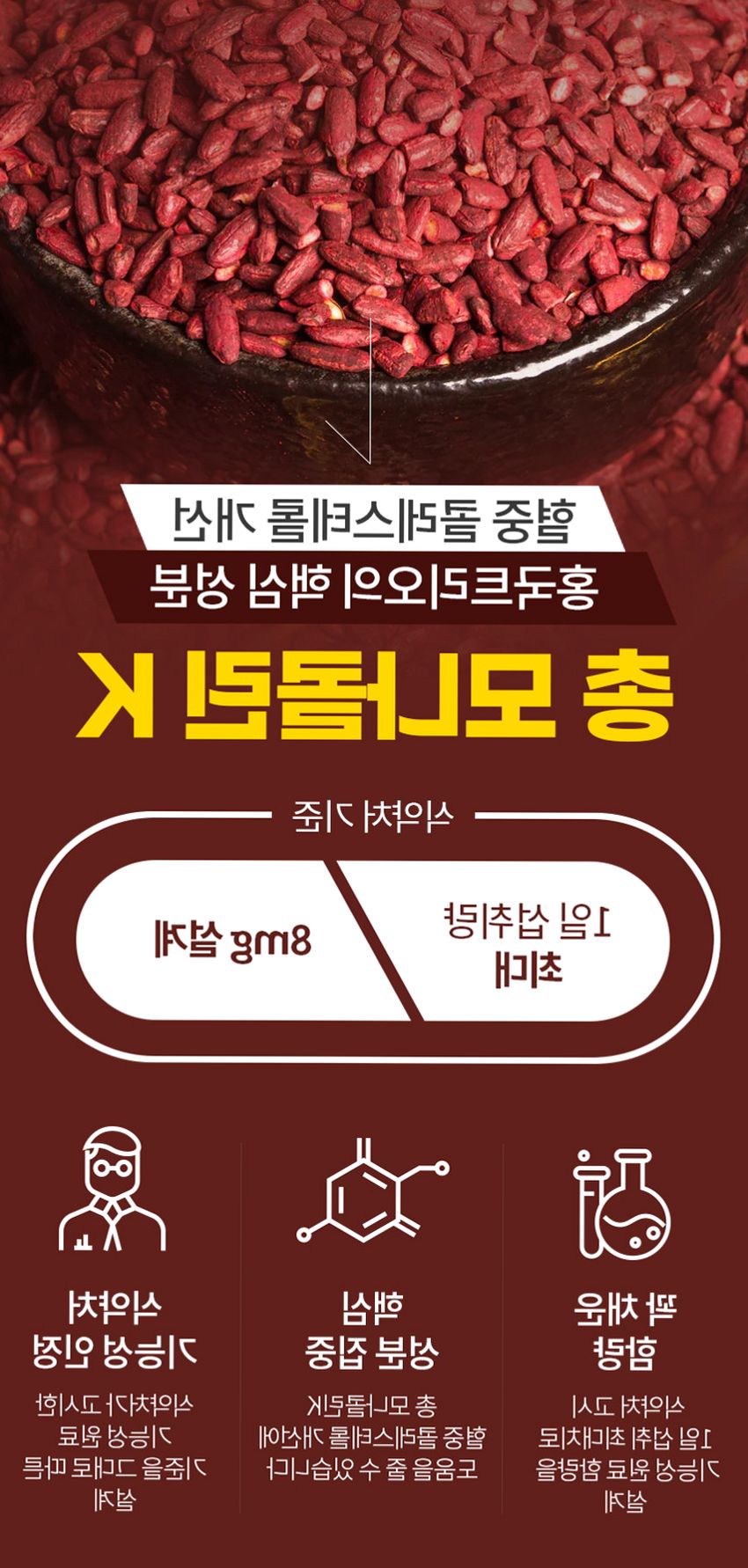 홍국트리오 메가 중성지방 콜레스테롤 낮추는 HDL LDL 홍국영양제 60정, 1개